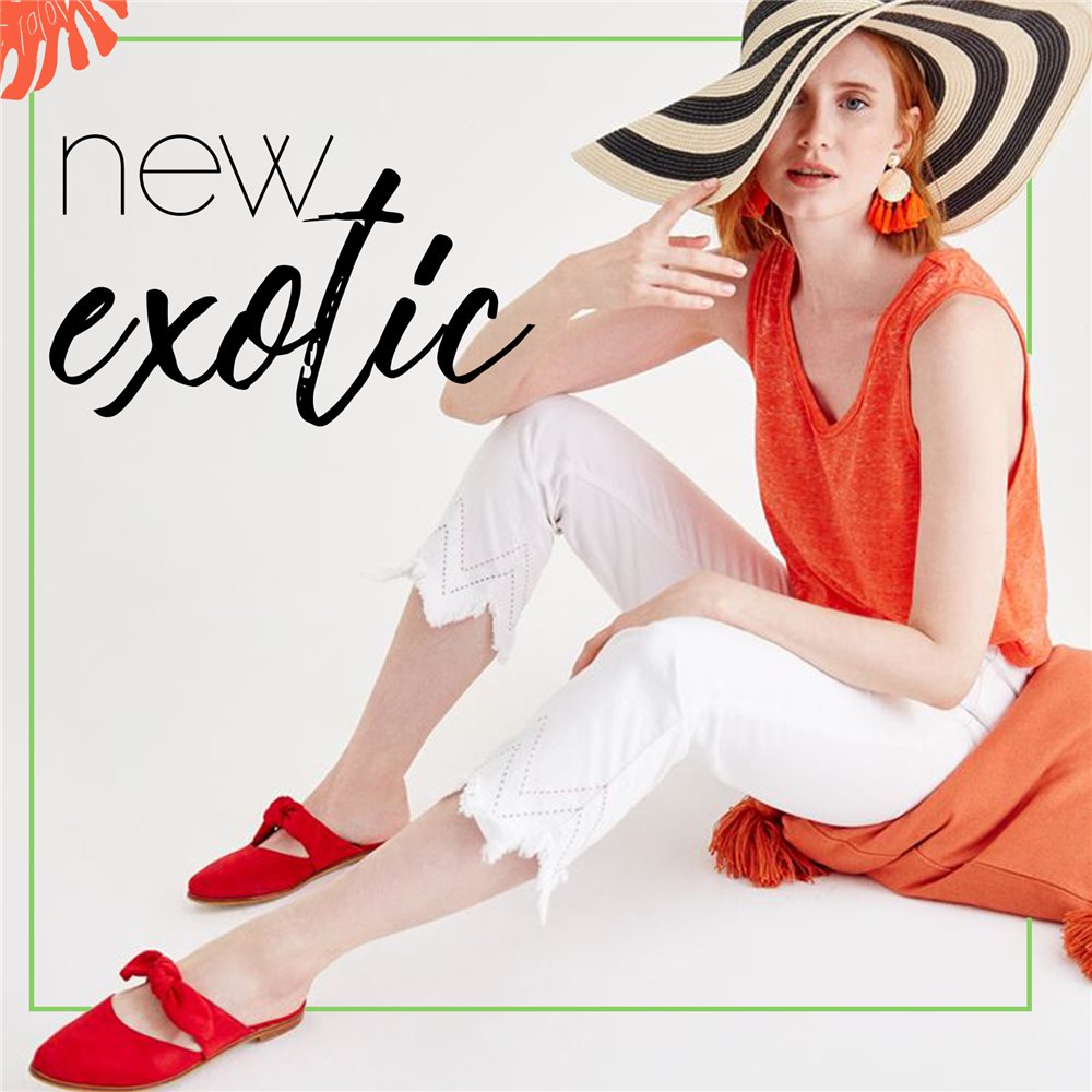 Egzotik Yolculuk; New Exotic