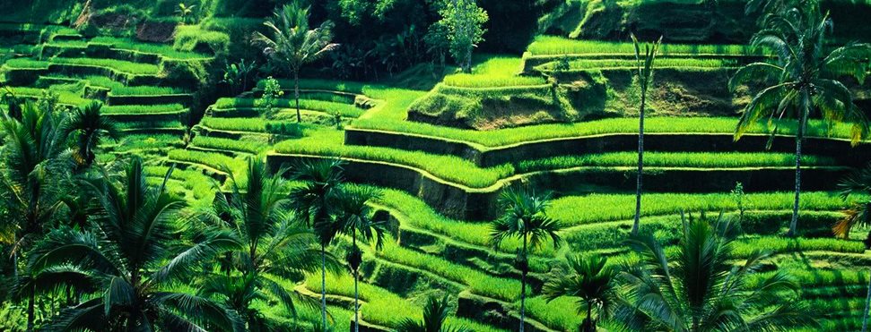 Aşık Olacağınız Bir Ada Bali 